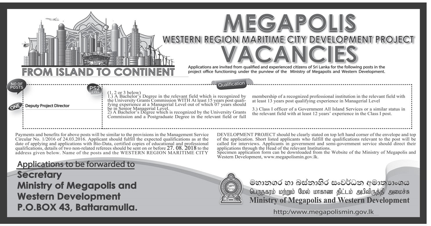 Deputy Project Director - Ministry of Megapolis & Western Development